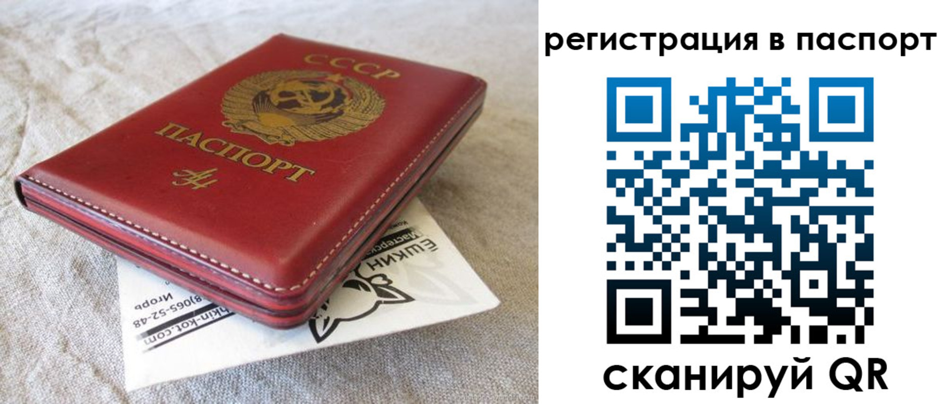 где прописаться в Щиграх